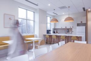 Biophilic Design – What Is It? 